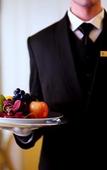 Туры в отель The Plaza, A Fairmont Hotel Туры в отель The Plaza, A Fairmont Hotel