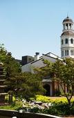 Туры в отель Mayfield Hotel Seoul Туры в отель Mayfield Hotel Seoul