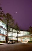 Туры в отель Mayfield Hotel Seoul Туры в отель Mayfield Hotel Seoul