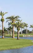 Туры в отель Trump National Doral Miami Туры в отель Trump National Doral Miami