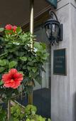 Туры в отель Phoenix Park Hotel Туры в отель Phoenix Park Hotel