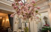Туры в отель The Jefferson, Washington, DC Туры в отель The Jefferson, Washington, DC