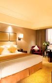 Туры в отель Pagoda Hotel Shanghai Baixia Туры в отель Pagoda Hotel Shanghai Baixia