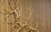 Туры в отель Embassy Suites by Hilton Milwaukee Brookfield Туры в отель Embassy Suites by Hilton Milwaukee Brookfield