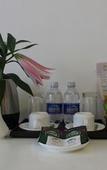 Туры в отель Luxor Boutique Hotel Туры в отель Luxor Boutique Hotel