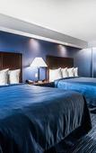Туры в отель Clarion Pointe Downtown Туры в отель Clarion Pointe Downtown