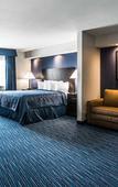 Туры в отель Clarion Pointe Downtown Туры в отель Clarion Pointe Downtown