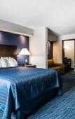 Туры в отель Clarion Pointe Downtown Туры в отель Clarion Pointe Downtown