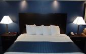 Туры в отель Clarion Pointe Downtown Туры в отель Clarion Pointe Downtown