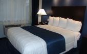 Туры в отель Clarion Pointe Downtown Туры в отель Clarion Pointe Downtown