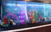 Туры в отель Clarion Pointe Downtown Туры в отель Clarion Pointe Downtown