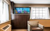 Туры в отель Clarion Pointe Downtown Туры в отель Clarion Pointe Downtown
