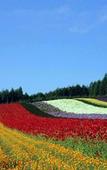 Туры в отель Furano Natulux Hotel Туры в отель Furano Natulux Hotel
