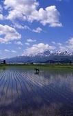 Туры в отель Furano Natulux Hotel Туры в отель Furano Natulux Hotel