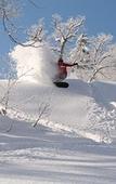 Туры в отель Furano Natulux Hotel Туры в отель Furano Natulux Hotel