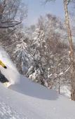 Туры в отель Furano Natulux Hotel Туры в отель Furano Natulux Hotel
