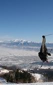Туры в отель Furano Natulux Hotel Туры в отель Furano Natulux Hotel