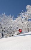 Туры в отель Furano Natulux Hotel Туры в отель Furano Natulux Hotel