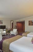 Туры в отель Plaza Hotel Capitole Toulouse Туры в отель Plaza Hotel Capitole Toulouse