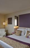 Туры в отель Plaza Hotel Capitole Toulouse Туры в отель Plaza Hotel Capitole Toulouse