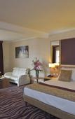 Туры в отель Plaza Hotel Capitole Toulouse Туры в отель Plaza Hotel Capitole Toulouse