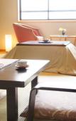 Туры в отель Hotel Tsubakino Туры в отель Hotel Tsubakino