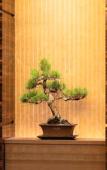 Туры в отель Takamatsu Tokyu REI Hotel Туры в отель Takamatsu Tokyu REI Hotel
