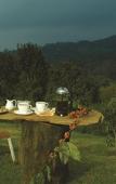 Туры в отель Club Mahindra Madikeri, Coorg Туры в отель Club Mahindra Madikeri, Coorg