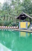 Туры в отель Club Mahindra Madikeri, Coorg Туры в отель Club Mahindra Madikeri, Coorg
