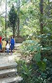 Туры в отель Club Mahindra Madikeri, Coorg Туры в отель Club Mahindra Madikeri, Coorg