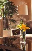 Туры в отель Sheraton Jiangyin Hotel Туры в отель Sheraton Jiangyin Hotel