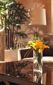 Туры в отель Sheraton Jiangyin Hotel Туры в отель Sheraton Jiangyin Hotel