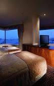 Туры в отель Hotel Springs Makuhari Туры в отель Hotel Springs Makuhari