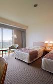 Туры в отель Hotel Springs Makuhari Туры в отель Hotel Springs Makuhari