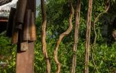 Туры в отель Indra Porak Residence Hotel Туры в отель Indra Porak Residence Hotel