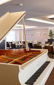 Туры в отель Hotel Banana City Winterthur Туры в отель Hotel Banana City Winterthur