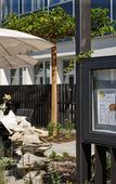 Туры в отель Hotel Banana City Winterthur Туры в отель Hotel Banana City Winterthur