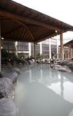 Туры в отель Noboribetsu Grand Hotel Туры в отель Noboribetsu Grand Hotel