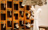 Туры в отель Boutique B&B Vintage Туры в отель Boutique B&B Vintage