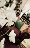 Туры в отель Ostuni Palace Hotel Ristorante & SPA Туры в отель Ostuni Palace Hotel Ristorante & SPA