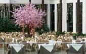 Туры в отель The Hot Spring Hotel Туры в отель The Hot Spring Hotel