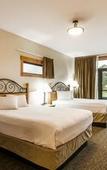Туры в отель Coyote Mountain Lodge Туры в отель Coyote Mountain Lodge