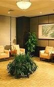 Туры в отель Blue Horizon International Hotel Туры в отель Blue Horizon International Hotel