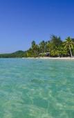 Туры в отель Pawapi Beach Resort Туры в отель Pawapi Beach Resort