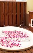 Туры в отель Hotel & Spa Lotus – Adults Only Туры в отель Hotel & Spa Lotus – Adults Only