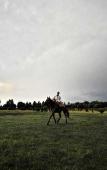 Туры в отель Michlifen Resort & Golf Туры в отель Michlifen Resort & Golf
