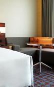 Туры в отель Hyatt Regency Lucknow Туры в отель Hyatt Regency Lucknow