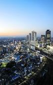 Туры в отель Nagoya Prince Hotel Sky Tower Туры в отель Nagoya Prince Hotel Sky Tower