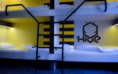 Туры в отель The Hive Party Hostel Туры в отель The Hive Party Hostel