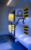 Туры в отель The Hive Party Hostel Туры в отель The Hive Party Hostel